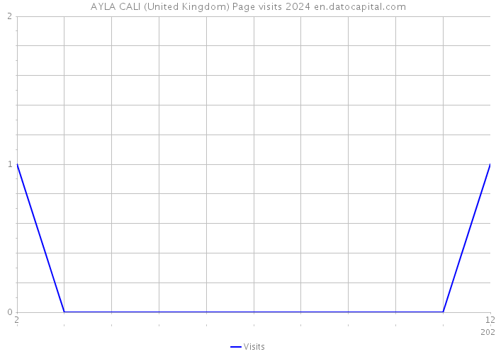 AYLA CALI (United Kingdom) Page visits 2024 