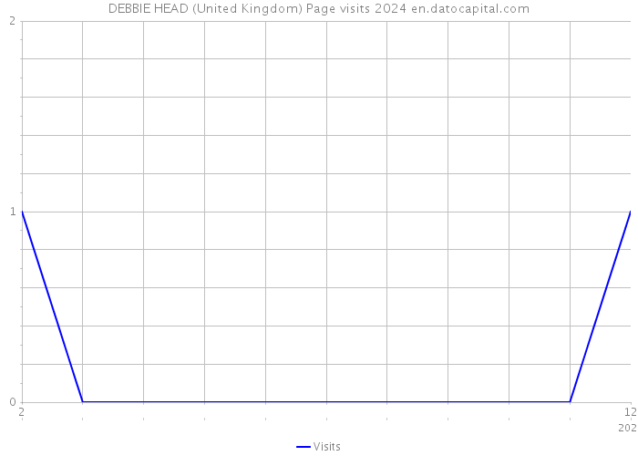 DEBBIE HEAD (United Kingdom) Page visits 2024 