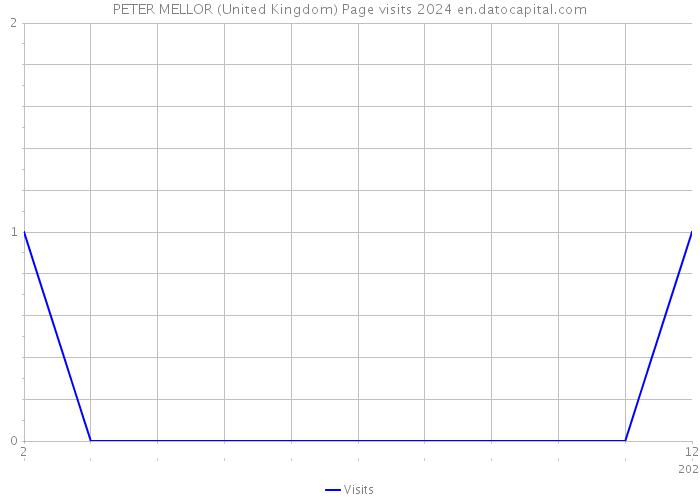 PETER MELLOR (United Kingdom) Page visits 2024 
