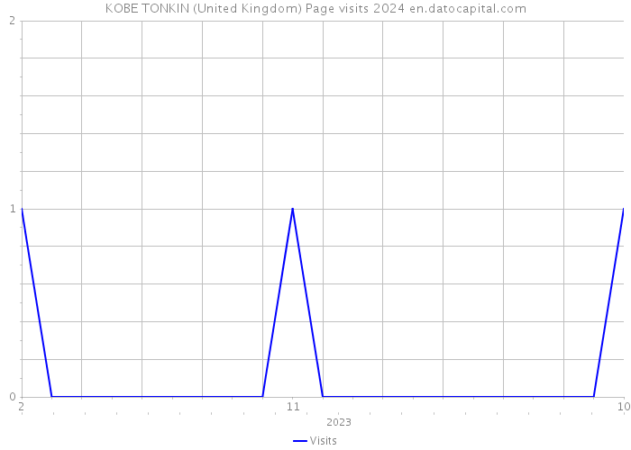 KOBE TONKIN (United Kingdom) Page visits 2024 