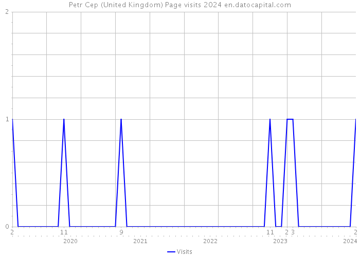 Petr Cep (United Kingdom) Page visits 2024 