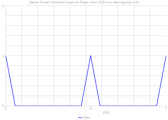 Samet Dural (United Kingdom) Page visits 2024 