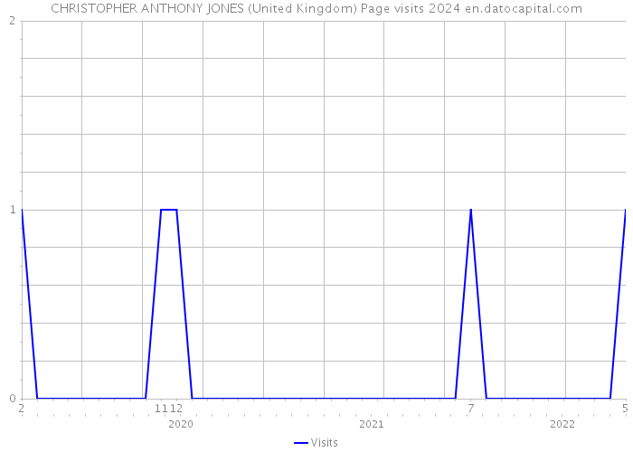 CHRISTOPHER ANTHONY JONES (United Kingdom) Page visits 2024 