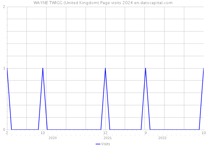 WAYNE TWIGG (United Kingdom) Page visits 2024 