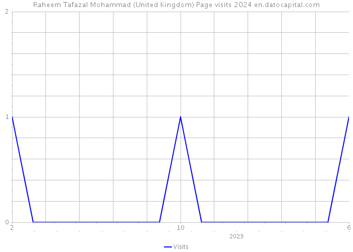 Raheem Tafazal Mohammad (United Kingdom) Page visits 2024 