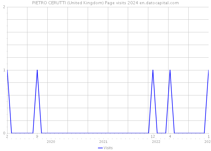 PIETRO CERUTTI (United Kingdom) Page visits 2024 