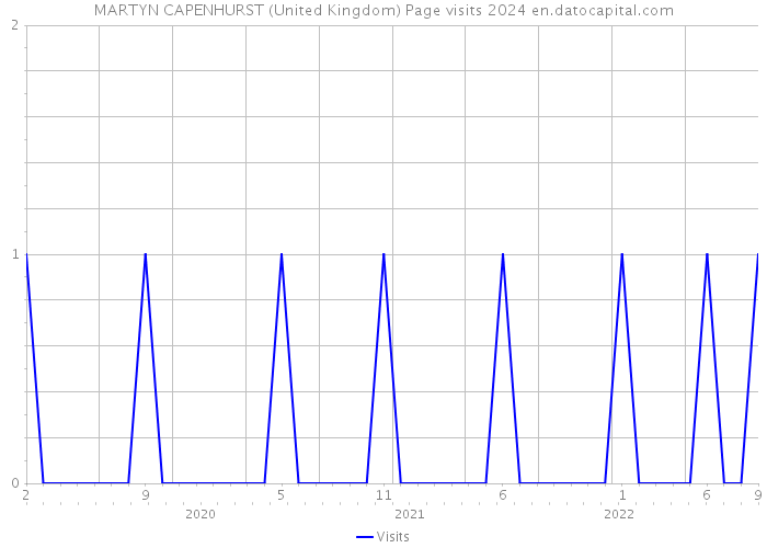 MARTYN CAPENHURST (United Kingdom) Page visits 2024 
