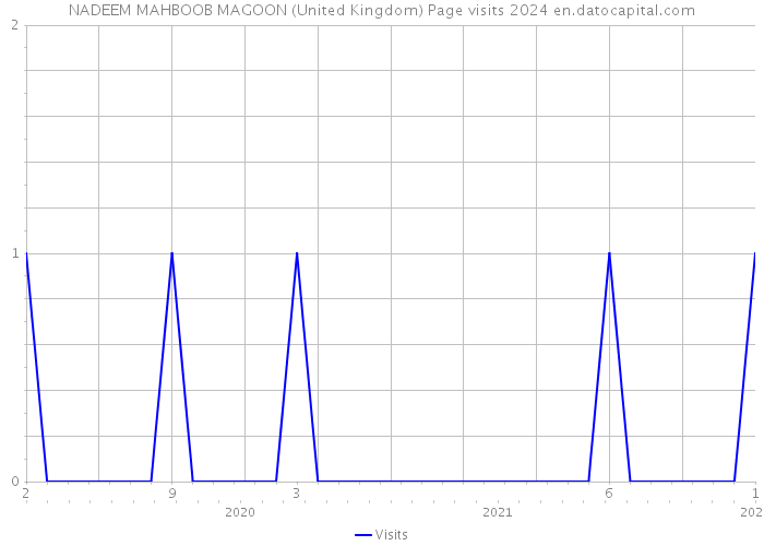 NADEEM MAHBOOB MAGOON (United Kingdom) Page visits 2024 