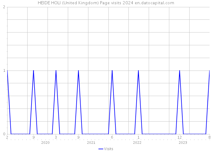 HEIDE HOLI (United Kingdom) Page visits 2024 