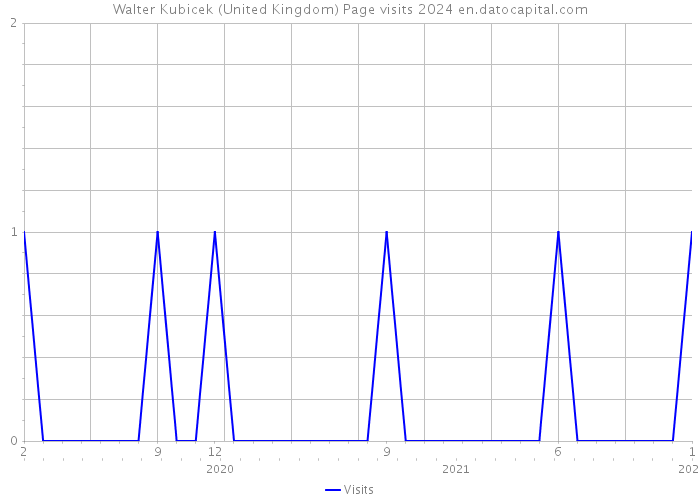 Walter Kubicek (United Kingdom) Page visits 2024 