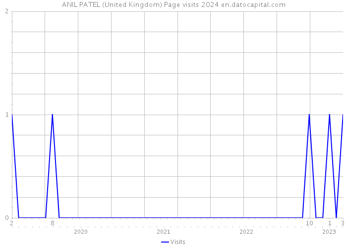 ANIL PATEL (United Kingdom) Page visits 2024 