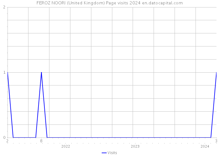 FEROZ NOORI (United Kingdom) Page visits 2024 