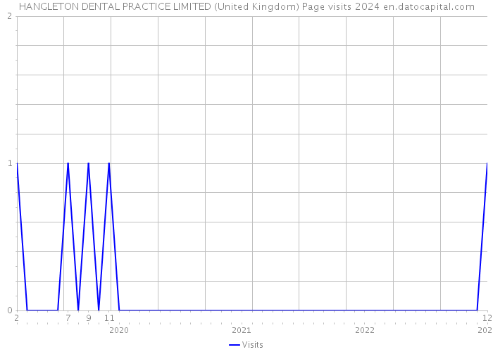 HANGLETON DENTAL PRACTICE LIMITED (United Kingdom) Page visits 2024 