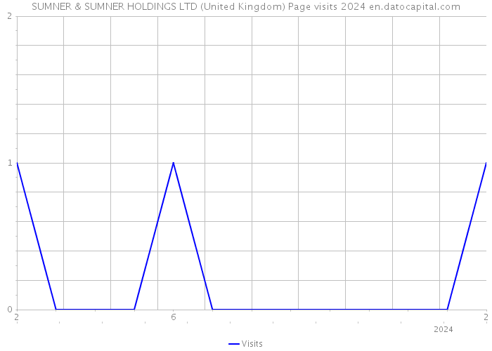 SUMNER & SUMNER HOLDINGS LTD (United Kingdom) Page visits 2024 