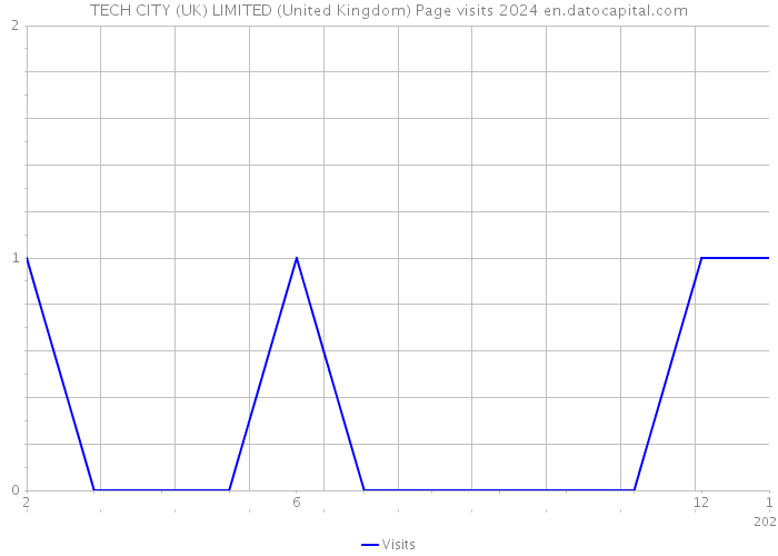 TECH CITY (UK) LIMITED (United Kingdom) Page visits 2024 