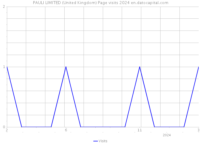 PAULI LIMITED (United Kingdom) Page visits 2024 