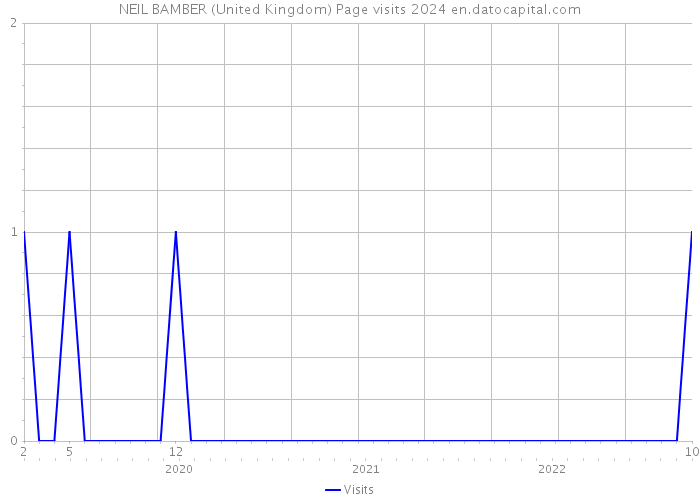 NEIL BAMBER (United Kingdom) Page visits 2024 