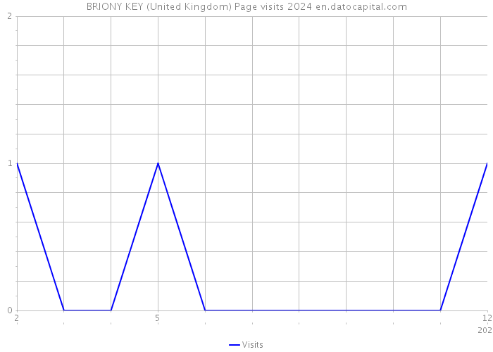 BRIONY KEY (United Kingdom) Page visits 2024 