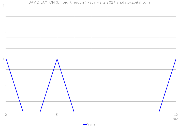 DAVID LAYTON (United Kingdom) Page visits 2024 