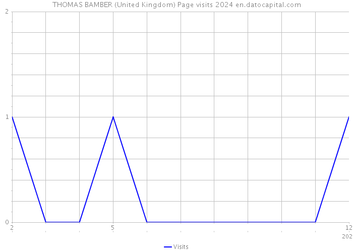 THOMAS BAMBER (United Kingdom) Page visits 2024 