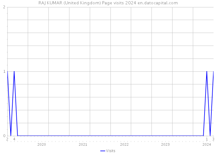 RAJ KUMAR (United Kingdom) Page visits 2024 