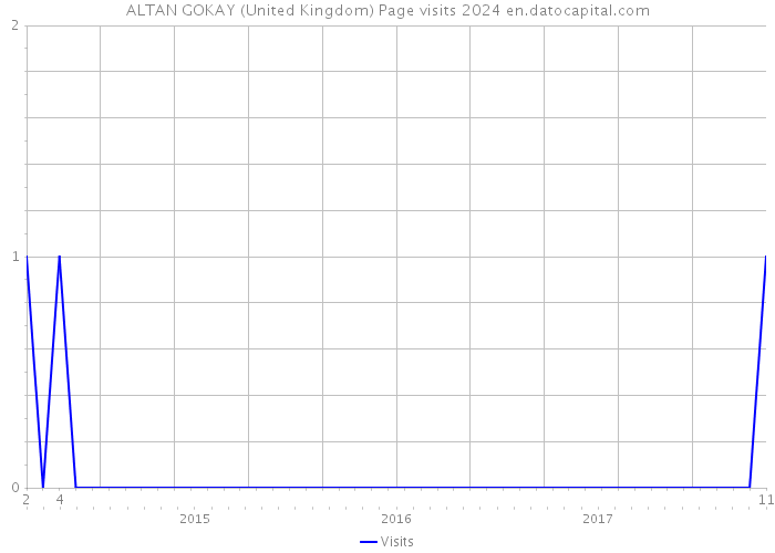ALTAN GOKAY (United Kingdom) Page visits 2024 