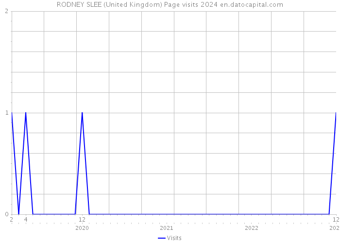 RODNEY SLEE (United Kingdom) Page visits 2024 