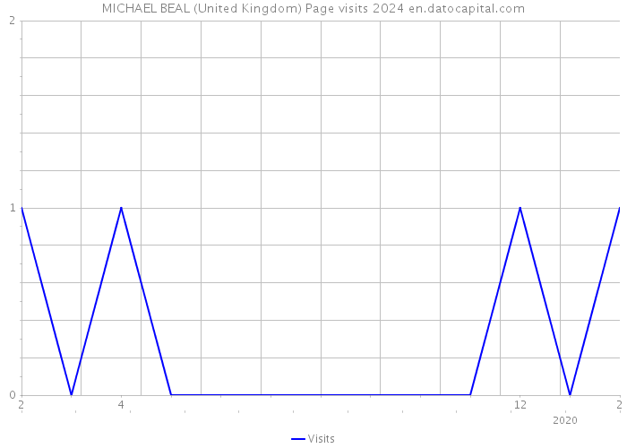 MICHAEL BEAL (United Kingdom) Page visits 2024 