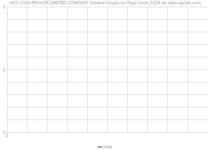 HCO 1000 PRIVATE LIMITED COMPANY (United Kingdom) Page visits 2024 