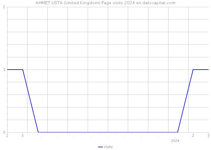 AHMET USTA (United Kingdom) Page visits 2024 