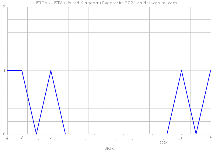 ERCAN USTA (United Kingdom) Page visits 2024 