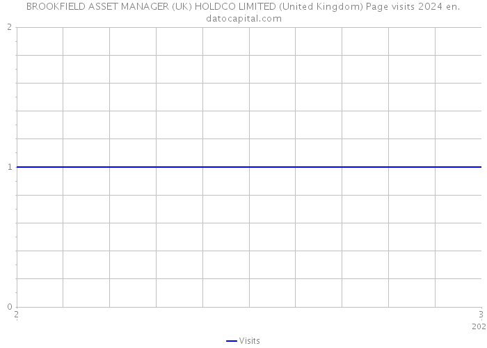 BROOKFIELD ASSET MANAGER (UK) HOLDCO LIMITED (United Kingdom) Page visits 2024 