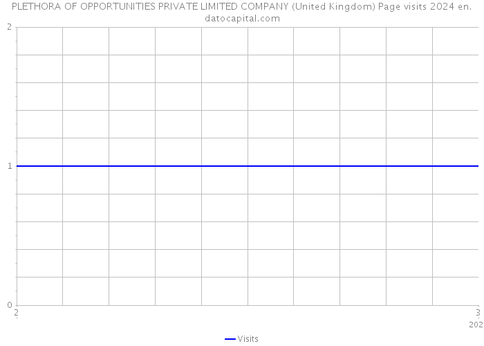 PLETHORA OF OPPORTUNITIES PRIVATE LIMITED COMPANY (United Kingdom) Page visits 2024 