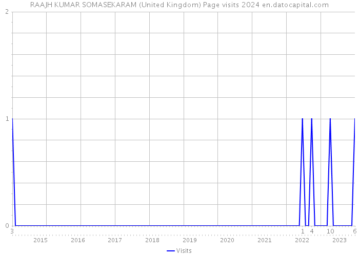 RAAJH KUMAR SOMASEKARAM (United Kingdom) Page visits 2024 