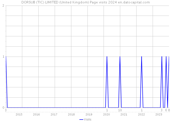 DORSUB (TIC) LIMITED (United Kingdom) Page visits 2024 