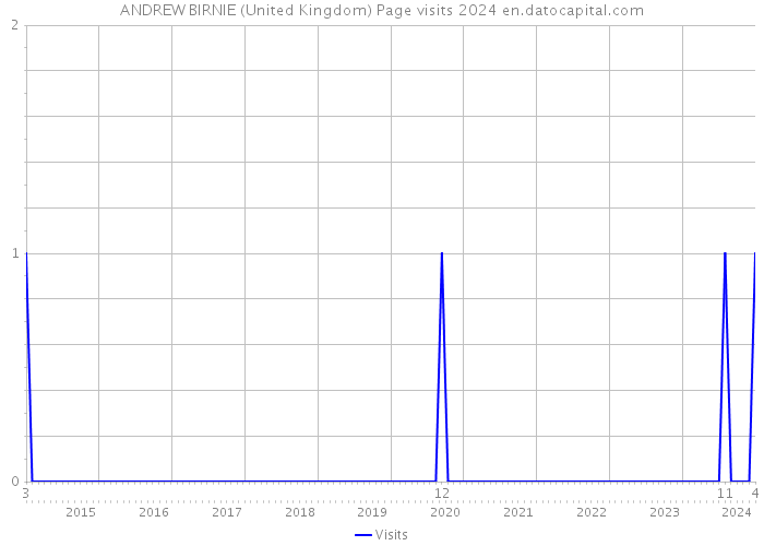 ANDREW BIRNIE (United Kingdom) Page visits 2024 