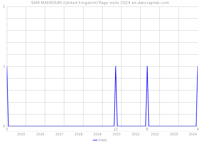 SAM MANSOURI (United Kingdom) Page visits 2024 