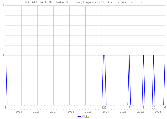 RAFAEL GALDON (United Kingdom) Page visits 2024 