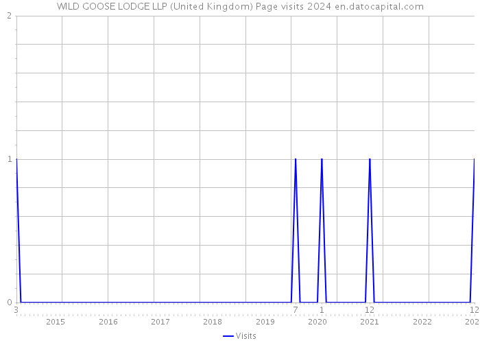 WILD GOOSE LODGE LLP (United Kingdom) Page visits 2024 