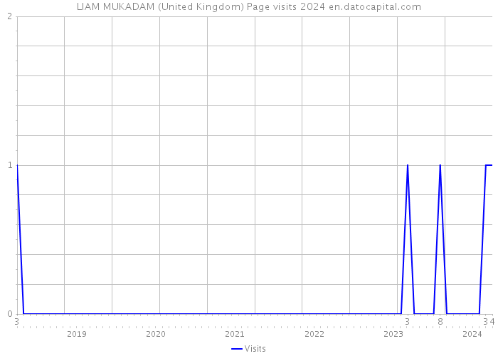 LIAM MUKADAM (United Kingdom) Page visits 2024 