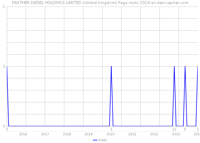 FEATHER DIESEL HOLDINGS LIMITED (United Kingdom) Page visits 2024 