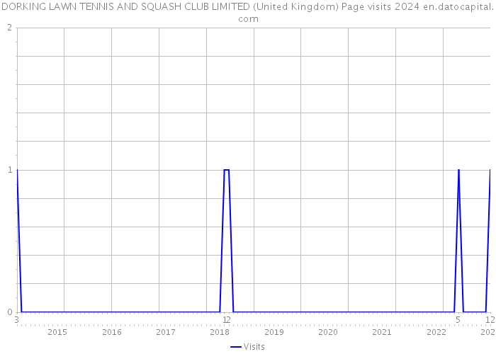 DORKING LAWN TENNIS AND SQUASH CLUB LIMITED (United Kingdom) Page visits 2024 