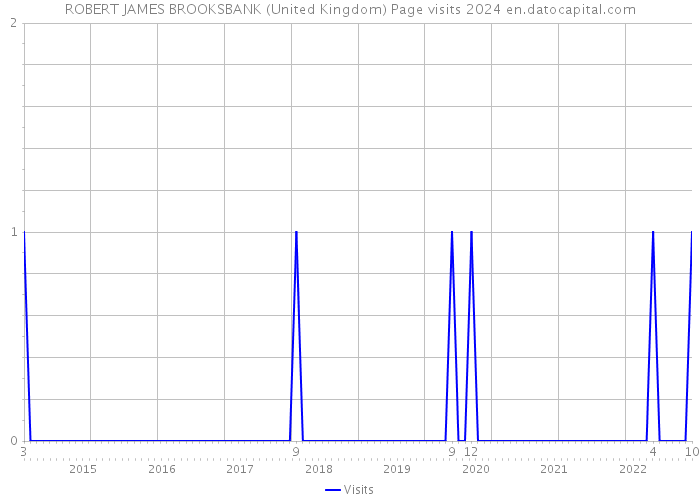 ROBERT JAMES BROOKSBANK (United Kingdom) Page visits 2024 