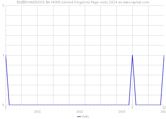 EILEEN HADDOCK BA HONS (United Kingdom) Page visits 2024 
