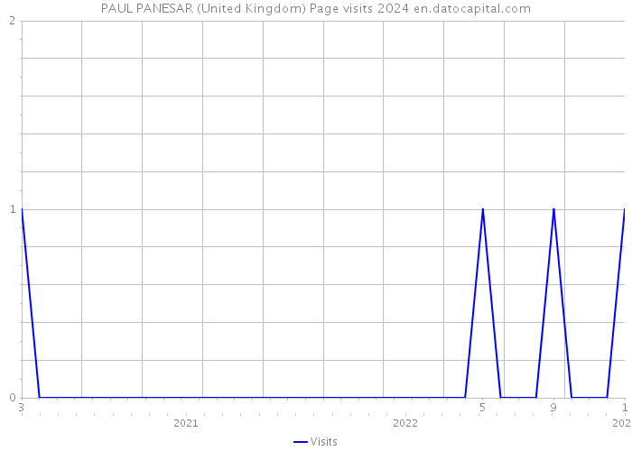 PAUL PANESAR (United Kingdom) Page visits 2024 
