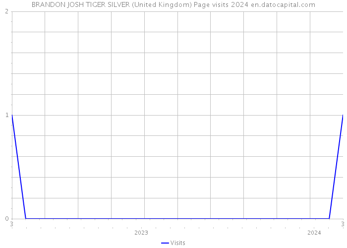 BRANDON JOSH TIGER SILVER (United Kingdom) Page visits 2024 