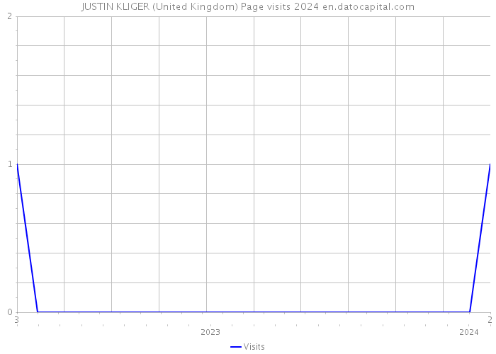 JUSTIN KLIGER (United Kingdom) Page visits 2024 