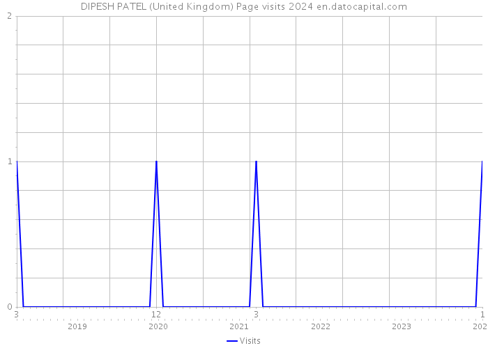 DIPESH PATEL (United Kingdom) Page visits 2024 