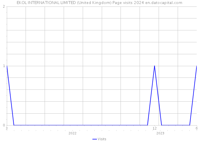 EKOL INTERNATIONAL LIMITED (United Kingdom) Page visits 2024 