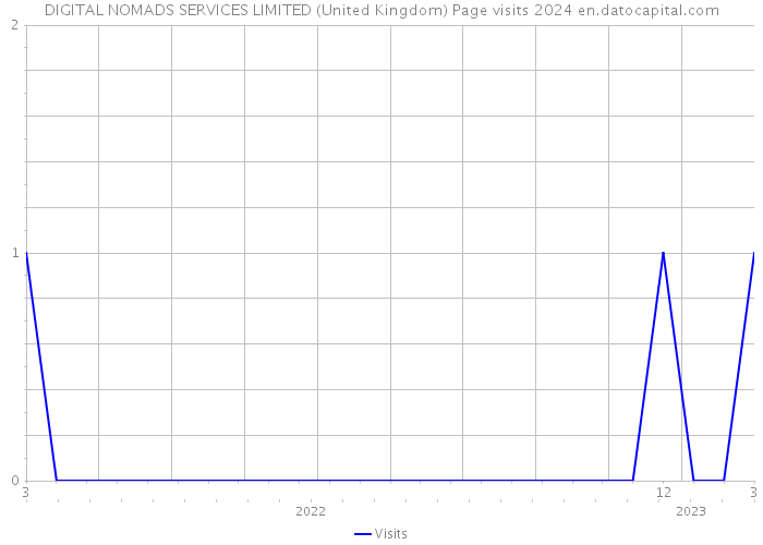 DIGITAL NOMADS SERVICES LIMITED (United Kingdom) Page visits 2024 